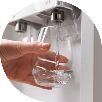 purificador agua adaptavel beloarbebedouros