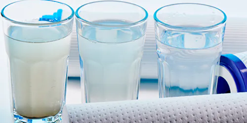 servicos higienizacao limpeza beloar